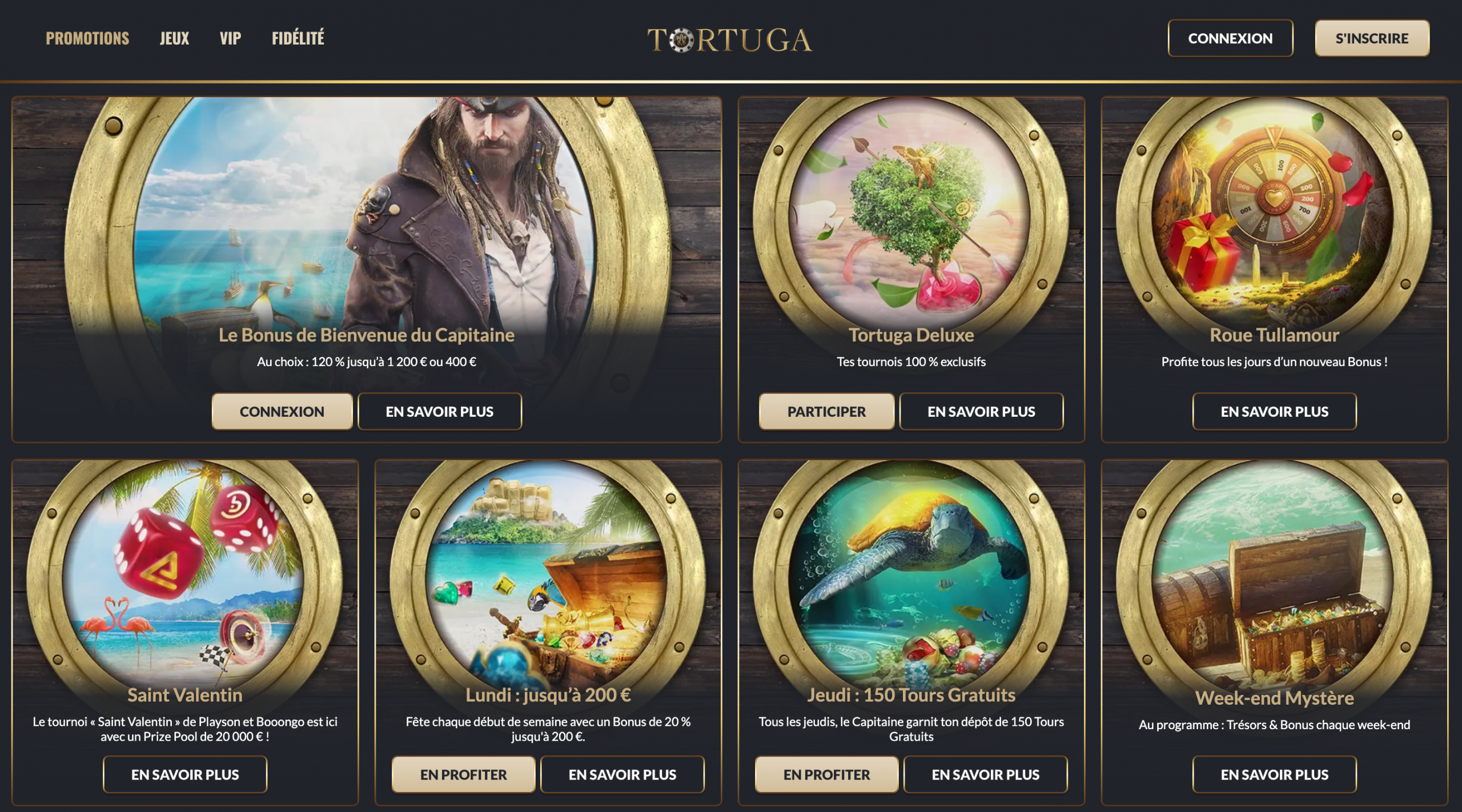 promotions tortuga